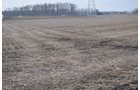 Property photo 15 - 98+/- Acres Offered in 6 Tracts or Combinations, Noble County, Indiana Farm